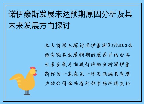 诺伊豪斯发展未达预期原因分析及其未来发展方向探讨 诺伊豪斯发展未达预期原因分析及其未来发展方向探讨